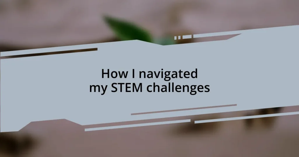 How I navigated my STEM challenges